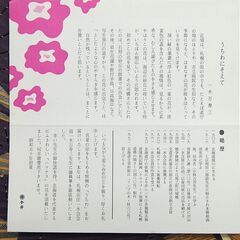 1975年作品 阿以波 京うちわ ハマナス 透かし 切り絵細工 有職京うちわ