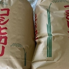 令和4年埼玉県産✨コシヒカリ100%玄米🌾３０ｋｇ