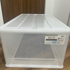 ニトリ　押入れケース　Lサイズ