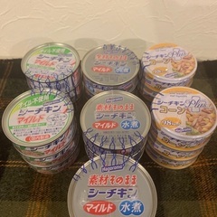 ノンオイル　ツナ缶　3種類　21個