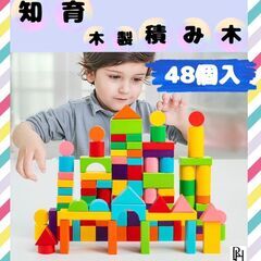【♡新品♡】カラフル　木製　積み木 ブロック 48ピース 知育 玩具