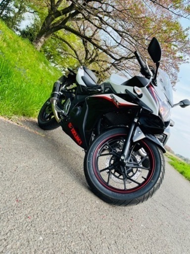 スズキ GSX250R ABS