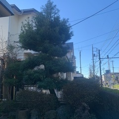 神奈川県内や都内を中心としてお庭のお手入れをしています！