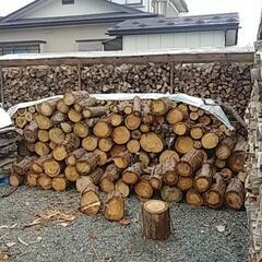 薪にどうぞ（針葉樹）約1.5トン