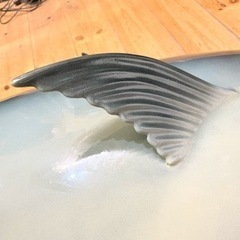 超リアル マグロディスプレー