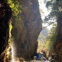 木曜日、登山仲間募集