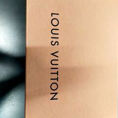 LOUIS VUITTON箱⑤　NO847