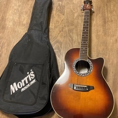 morris ギター