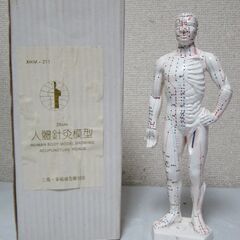 26cm☆人體針灸模型