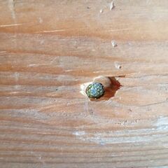 マックス MAX スーパーネイラ HN-65N1 高圧釘打ち機 (D4877kxwY)