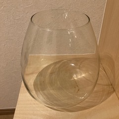 ガラス鉢　GEX  苔テラリウム　水槽　金魚鉢