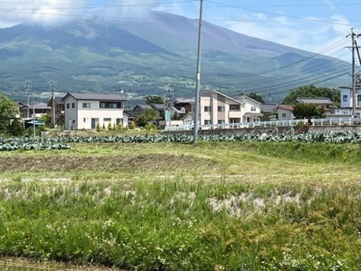 令和４年長野県産コシヒカリ玄米