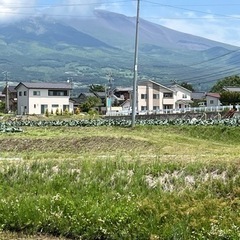 令和４年長野県産コシヒカリ玄米引取限定