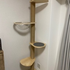 キャットタワー 美品