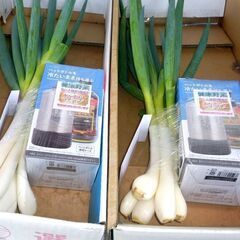 🔻【完売】🥬【新鮮野菜】栄養が4倍　榛沢深谷ネギ6本組＋ペットボ...