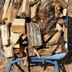 アウトドアに暖房に。乾燥状態良好な薪各種あります。