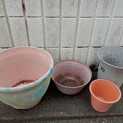 ＜再掲です＞プラスチック製プランター差し上げます