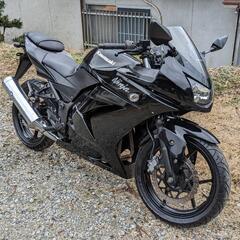 ★☆カワサキ　ニンジャ250　NINJYA250R　人気のブラッ...