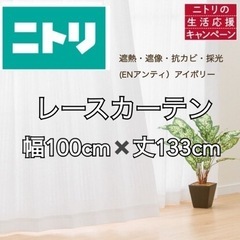 【譲】ニトリカーテン/レースカーテン/100cm/シンプル