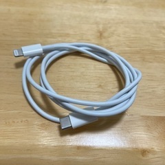 Apple 充電ケーブル