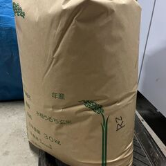 令和４年産米！栃木県産コシヒカリ！玄米３０ｋｇ！