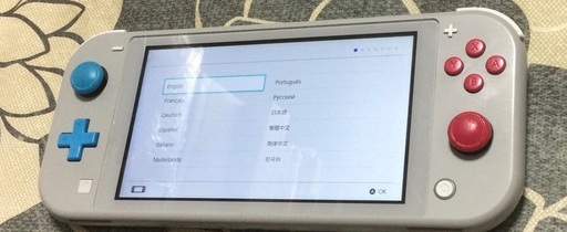 売済　switch ザシアンver