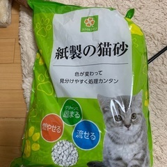 紙の猫砂です