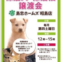 6/24(土)【保護犬・猫譲渡会 in 島忠ホームズ昭島店】
