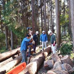 『白尾山公園遊歩道整備プロジェクト』ボランティア募集中❗@フジヤマロガークラブ − 静岡県