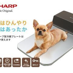 【ネット決済・配送可】犬猫用冷暖プレート