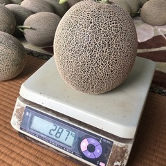 🍈メロン✨終了❗️第2️⃣販売✨予約受付‼️