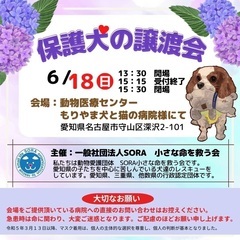 一般社団法人SORA小さな命を救う会:名古屋市守山区 保護犬の譲渡会