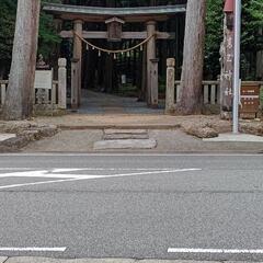 一緒に神社のお礼参りに行きませんか。