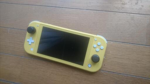 その他 switch lite
