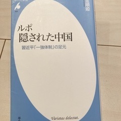 本　ルポ　隠された中国