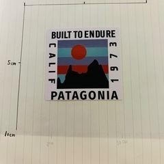 【ネット決済・配送可】【新品】patagonia(パタゴニア) ...