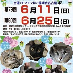 6/25(日)　猫の譲渡会　in　名古屋市昭和生涯学習センター