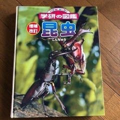 値下げ　昆虫図鑑