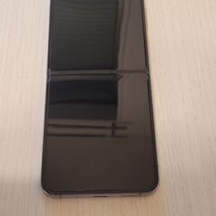 Samsung Galaxy Z Flip 4 256GB SM-F721U1