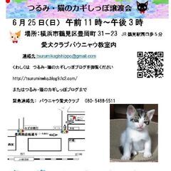 ６月２５日つるみ・猫のカギしっぽ譲渡会（JR鶴見駅西口歩５…