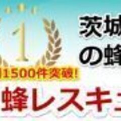 茨城県蜂の巣駆除蜂レスキュー茨城