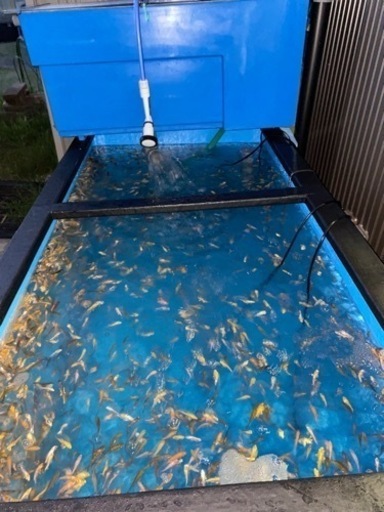 美品　水中ポンプサービス！FRP大型濾過装置　濾過マットサービス可能