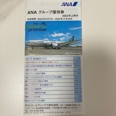 【取引済】ANA株主優待　期限23/6/1〜24/05/31搭乗分