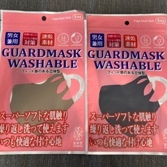 立体布マスク　2枚セット