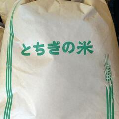 令和４年栃木県佐野市産 お米 玄米 ２０キロ⑧