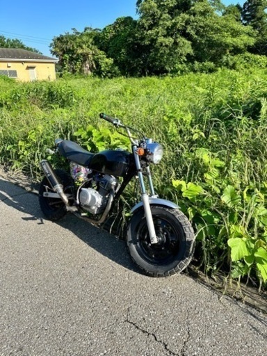 HONDAエイプ50!マニュアル車!初めてのバイク!練習用に‼️