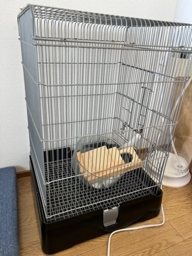 受取決定モモンガ飼育セット
