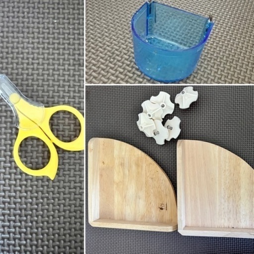 受取決定モモンガ飼育セット