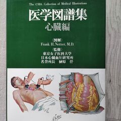 お値下げ医学図譜集　心臓編　Frank H.Netter