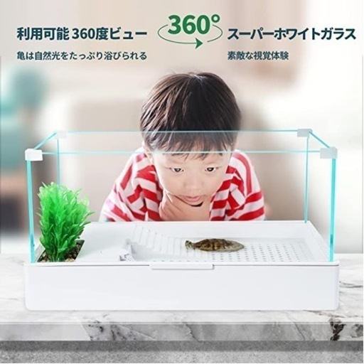 一点限り⭐️】亀 水槽 360°ガラス 60センチ 爬虫類 両生類 | www.ega